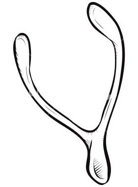 Hueso de los deseos o wishbone o f�rcula